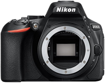 Nikon D5600 Logo