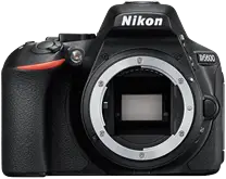 Nikon D5600 Logo